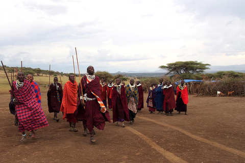 Safari en groupe de 5 jours dans le Tarangire, le Serengeti et le Ngorongoro