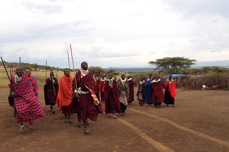 Safari di gruppo di 5 giorni Tarangire, Serengeti e Ngorongoro