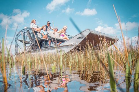 Everglades: tour en hidrodeslizador y espectáculo