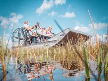 Everglades-Nationalpark: Airboat-Tour und Wildtier-Show Everglades-Nationalpark: Airboat-Tour und Wildtier-Show