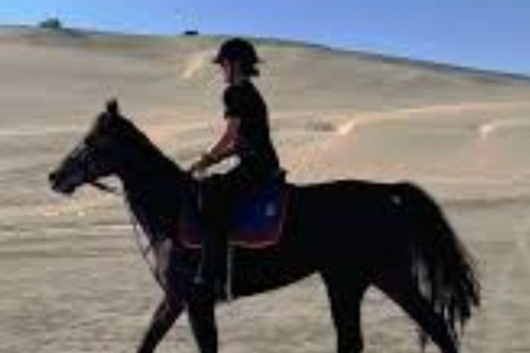 Doha: Horse Riding with Transfers