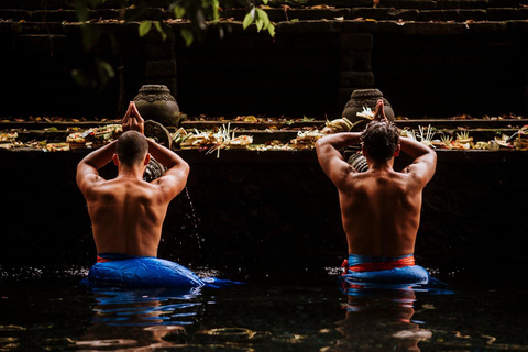 Ubud: Waterfalls & Temple with Rice Terrace Small-Group Tour Small Group Tour with Hotel Transfer (Tickets Excluded)