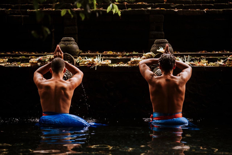 Ubud: Waterfalls & Temple with Rice Terrace Small-Group Tour Small Group Tour with Hotel Transfer (Tickets Excluded)