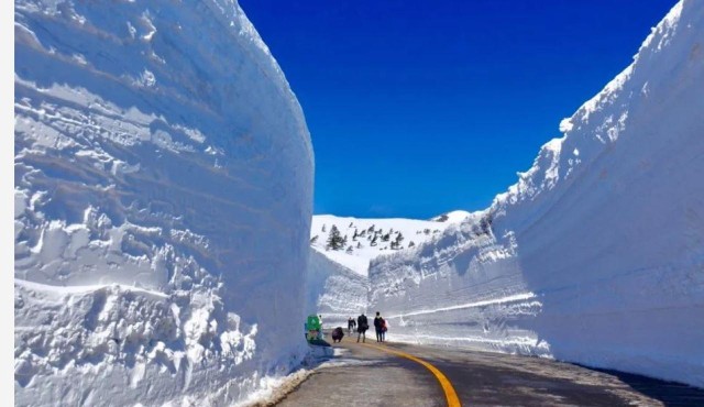 Visit Zao Snow Wall 1DAY Bus tour with Ohanami ExperEence in Sendai, Japan