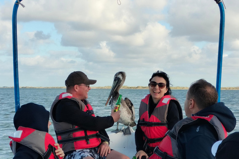 Tour des flamants roses Rio Lagartos, Yucatan 2 heures