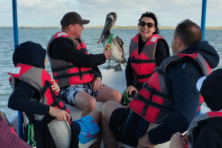 Tour des flamants roses Rio Lagartos, Yucatan 2 heures