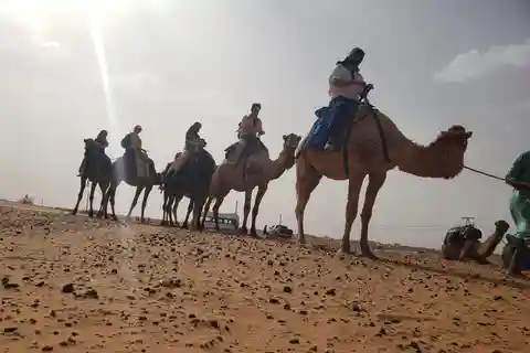 Da Marrakech 2 giorni di tour nel Sahara verso il deserto di Zagora e le Kasbah