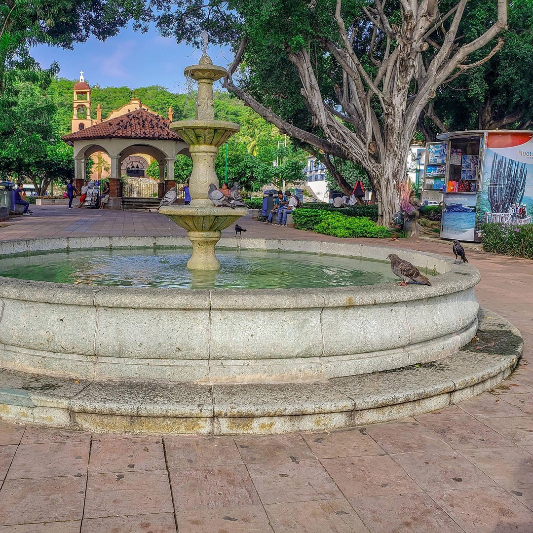 Galería de fotos para redes
