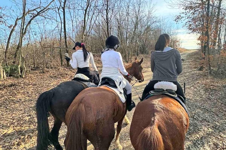 Belgrade: Epic Forest Horseback Riding Tour