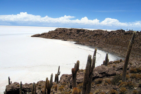 Uyuni Salt Flat und Incahuasi Island 5 Tage