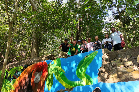 Monkey’s Creek: An Extreme Tropical Forest Hiking Adventure