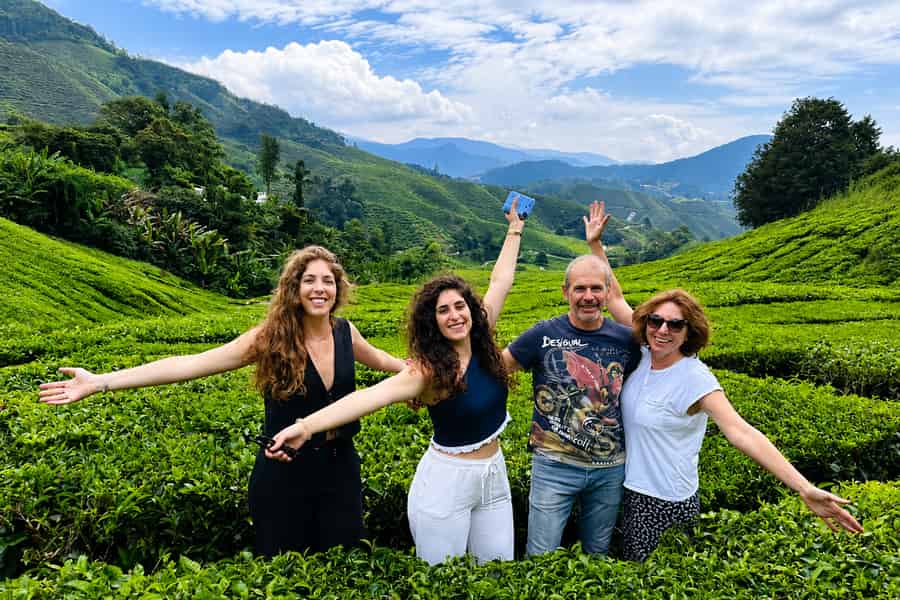 Cameron Highlands: Mossy Forest, Teeplantage und Rover-Tour. Foto: GetYourGuide Cameron Highlands: Mossy Forest, Teeplantage und Rover-Tour. Foto: GetYourGuide