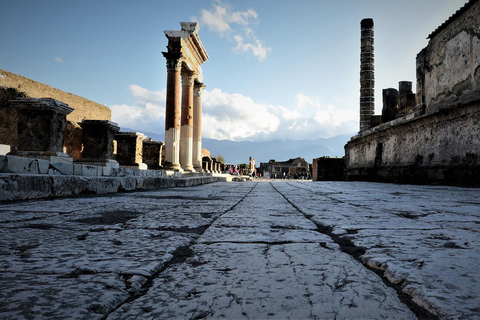 Da Sorrento: Biglietto di ingresso prioritario e audioguida per Pompei