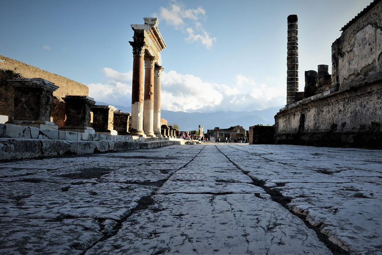 Da Sorrento: Biglietto di ingresso prioritario e audioguida per Pompei