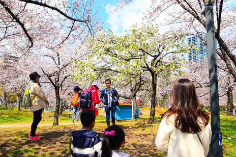 Osaka: Springtime Sakura Picnic "Hanami"