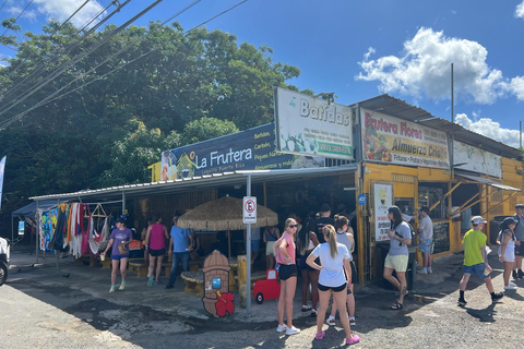 El Yunque Rainforest; Waterslides, Beach, Dine and Shop Tour El Yunque Rainforest Waterslides and Beach Tour