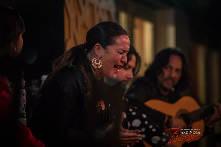 Granada: show di flamenco ad Albaycin - Jardines de ZorayaGranada: spettacolo di flamenco