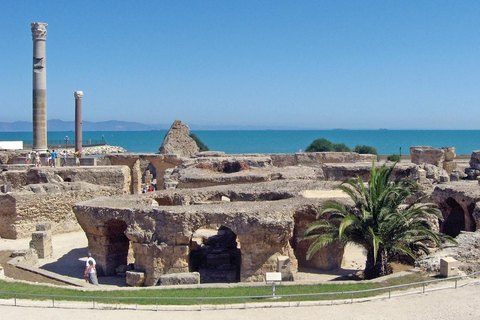 Tunis, Carthage & Sidi Bou Said Guided Tour with 3 Options Option 1: Full Day without: Lunch Tickets Carthage and Guide