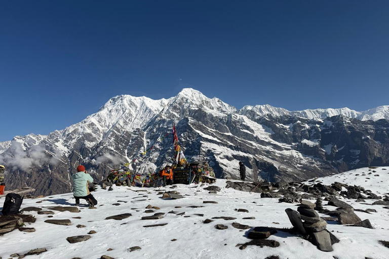 From Pokhara: 4-Night Mardi Himal Base Camp Trek