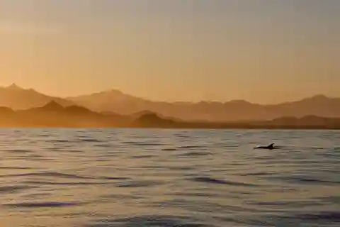 Sunset Cruise in San Jose del Cabo