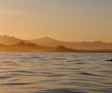 Kreuzfahrt bei Sonnenuntergang in San Jose del Cabo
