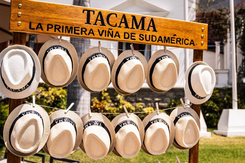 Exclusive: Hacienda Tacama from Lima + Paracas + Ica