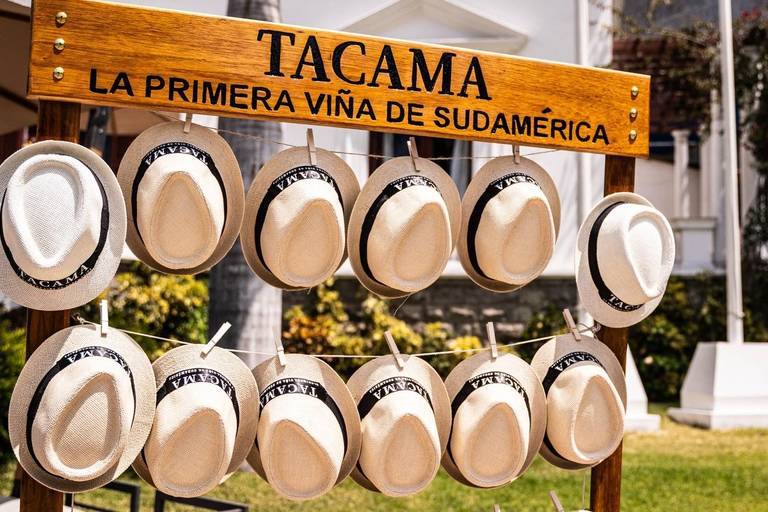 Exclusive: Hacienda Tacama from Lima + Paracas + Ica