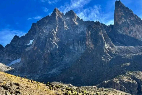 Mt Kenya: Half-day hiking and wildlife viewing