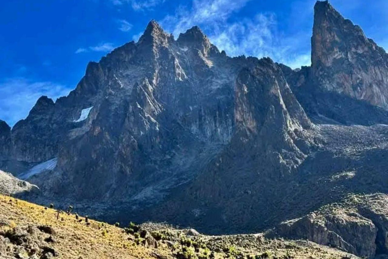 Mt Kenya: Half-day hiking and wildlife viewing
