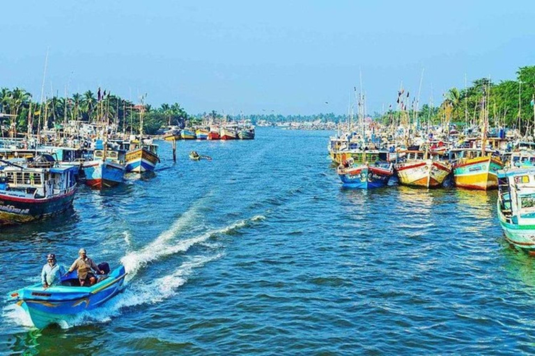 From Negombo: Colombo Private Guided City Tour with Transfer