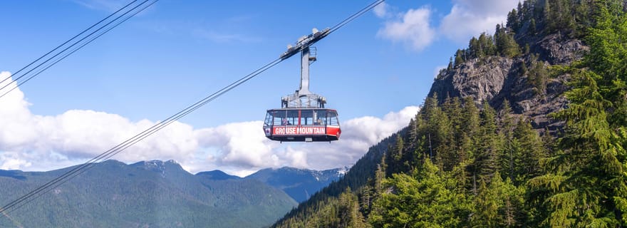 Biglietto d'ingresso per il Grouse Mountain Skyride