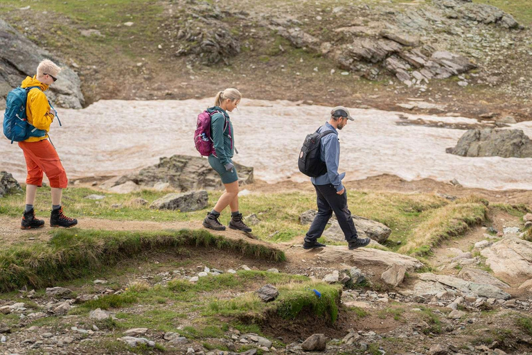 Zermatt: Gornergrat and Riffelsee Guided Hiking Tour
