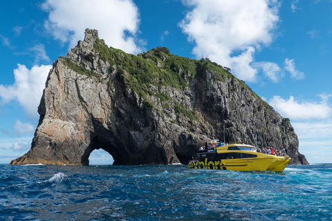 Desde Auckland: Excursión y crucero de 2 días por la Bahía de las Islas