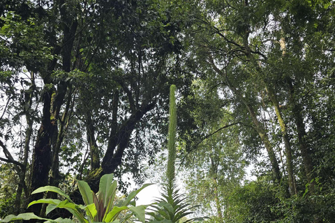 Kampala: Sipi Falls Hike and Coffee Tour 2-Day Trip
