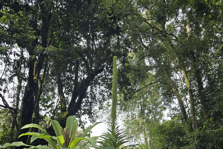 Kampala: Sipi Falls Hike and Coffee Tour 2-Day Trip