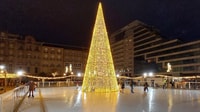 Tour à vigo lumières de Noël plus pontevedra y compris bateau - Hizvo