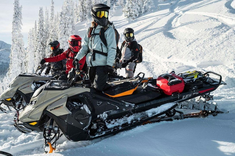 Explore the depths of the Canadian forest in Snowmobile