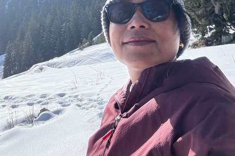 Bern: Gruyere Region Tour with Fondue, Chocolate & Spa