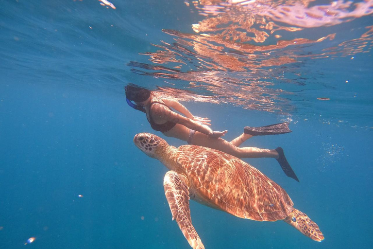 Snorkeltrip bij zonsondergang