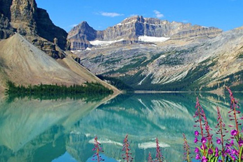 ColumbiaIcefield,CrowfootGlacierPyeto,Bow Lake&amp;Waterfowllake