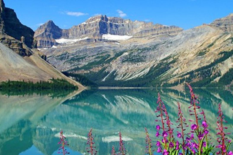 ColumbiaIcefield,CrowfootGlacierPyeto,Bow Lake&amp;Waterfowllake