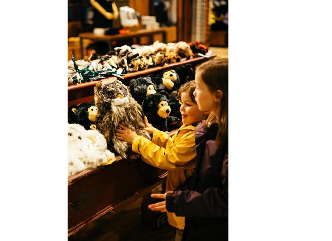 Vancouver: Capilano Suspension Bridge Park billet