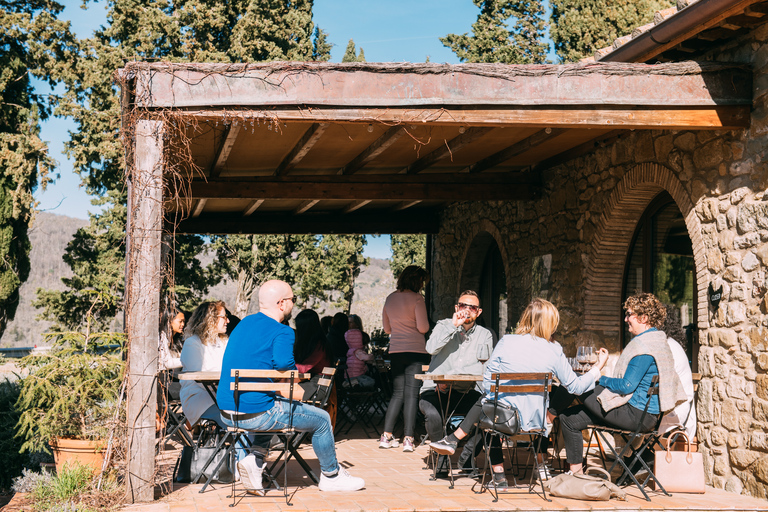 Von Florenz aus: Chianti-Hügel Halbtagestour mit WeinverkostungWeinkeller-Tour auf Englisch