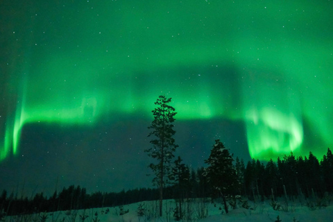 Levi: Norrskenstur med garanterade observationer