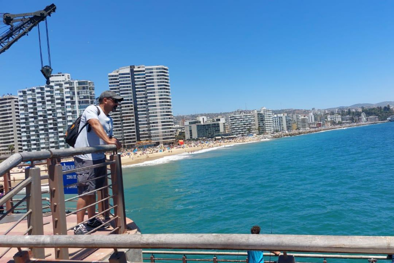 Culture and wine in 3 days: Valparaíso, Viña del Mar, and the Casablanca Valley