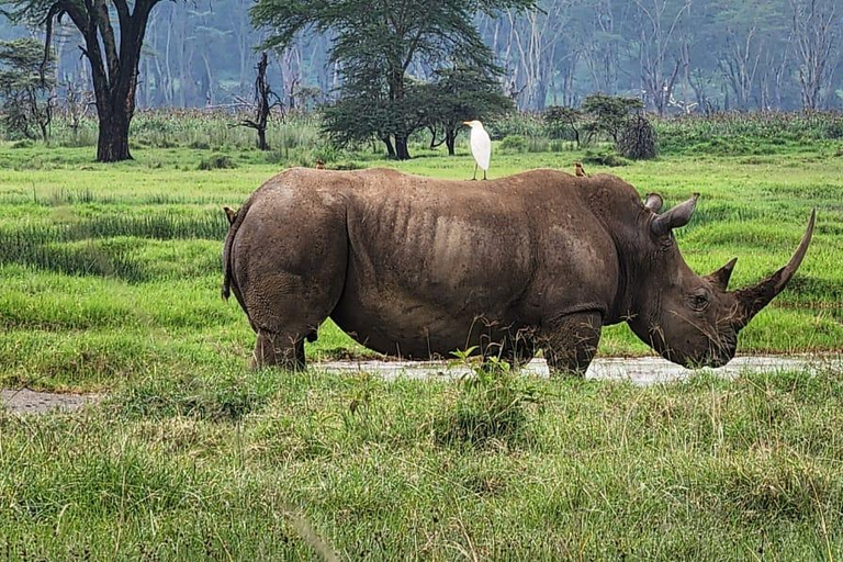 8-Day Authentic Kenya Safari with Culture, Safari & Wildlife