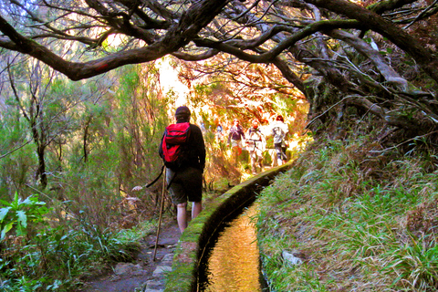 Madeira Day Trip: Levada Walk in the Rabaçal Valley