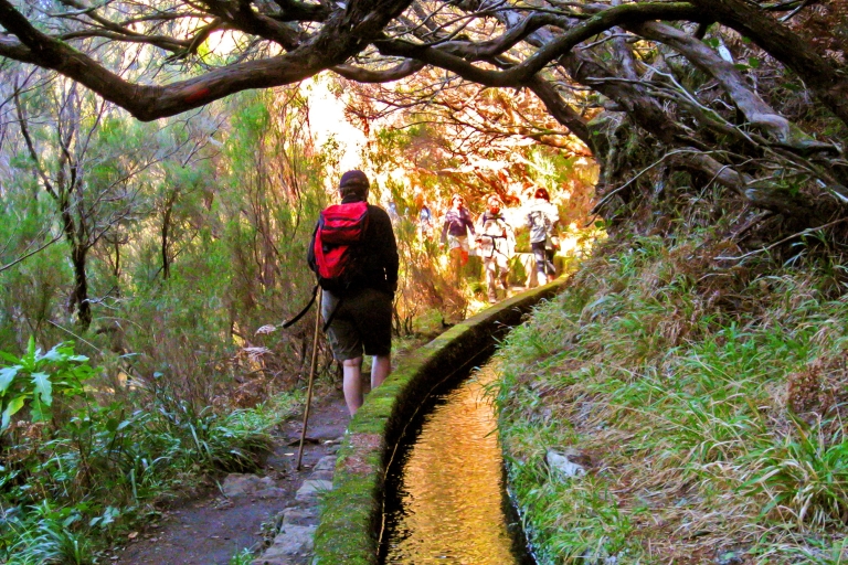 Madeira: Levada-Wanderung im Rabaçal-Tal - TagestourMadeira: Levada-Wanderung im Rabaçal-Tal - Private Tagestour