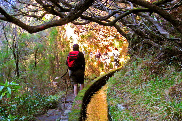 Excursión a Madeira: ruta de levada en el valle de RabaçalRuta por Levada en el valle de Rabaçal