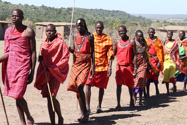 Masai Mara: 3 Days 2 nights Private Safari in a 4X4 Jeep Masai Mara: 3 Day Private Safari in a 4X4 Jeep Midrange